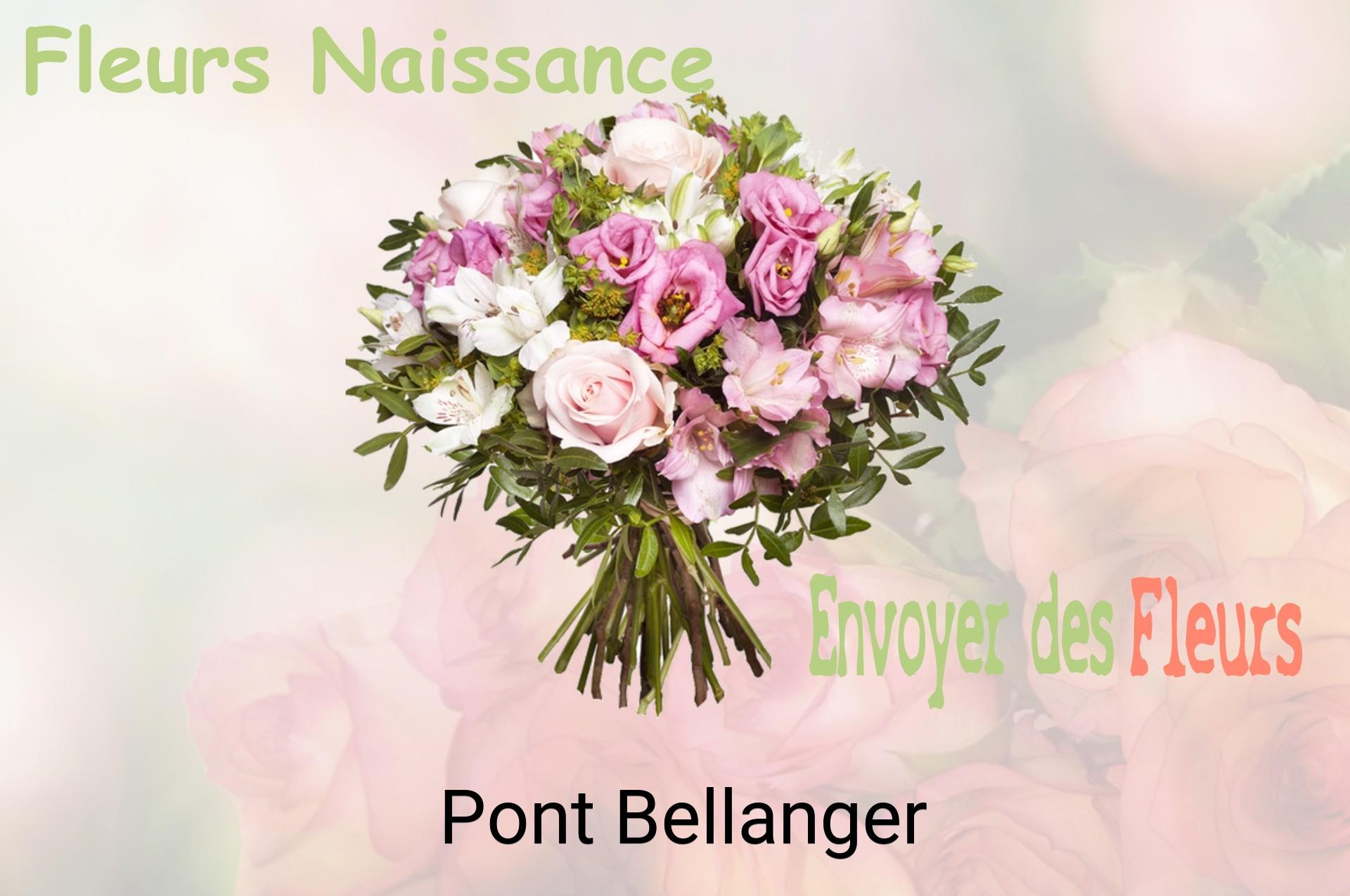 Bouquet de fleurs de naissance livré à Pont-Bellanger